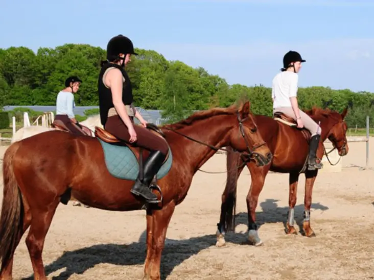 Capture d'écran 2025-12-18 104610