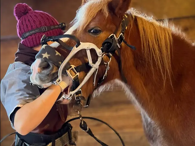 Capture d'écran 2026-02-12 143943