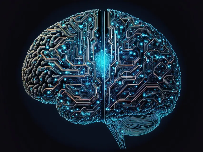 Cerveau