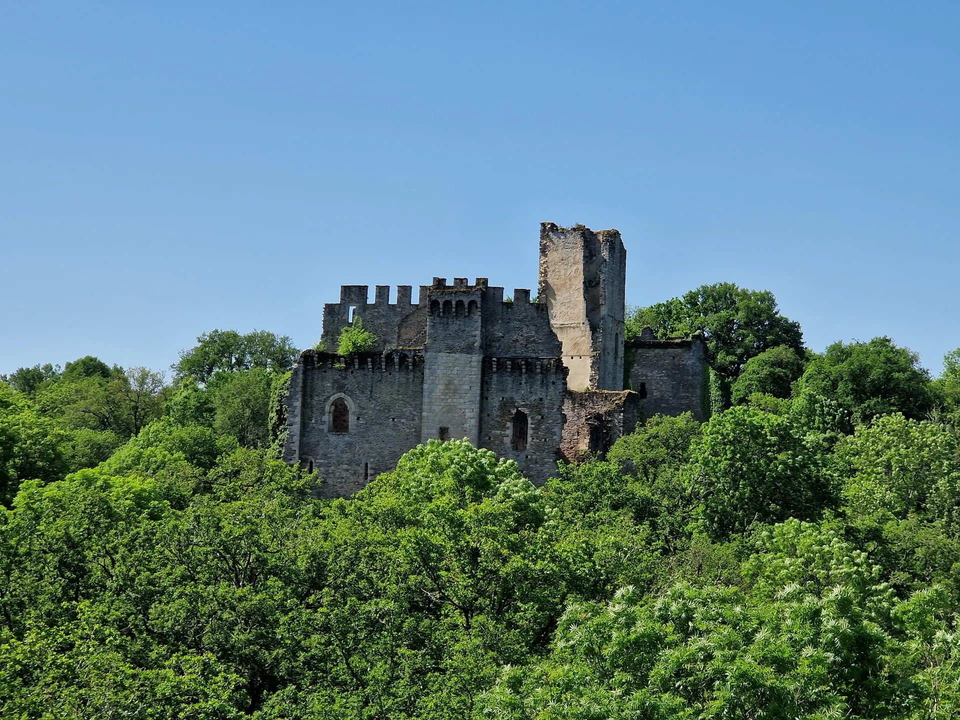 DC3A9partementdelaHaute-Vienne_-_3614