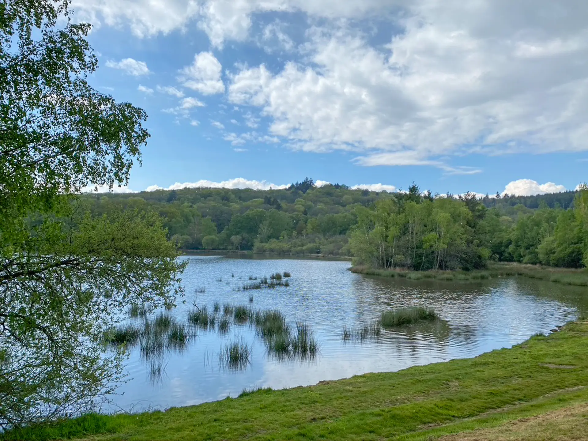 Etang de Mortemare Bonnac BD© Sabine Massé