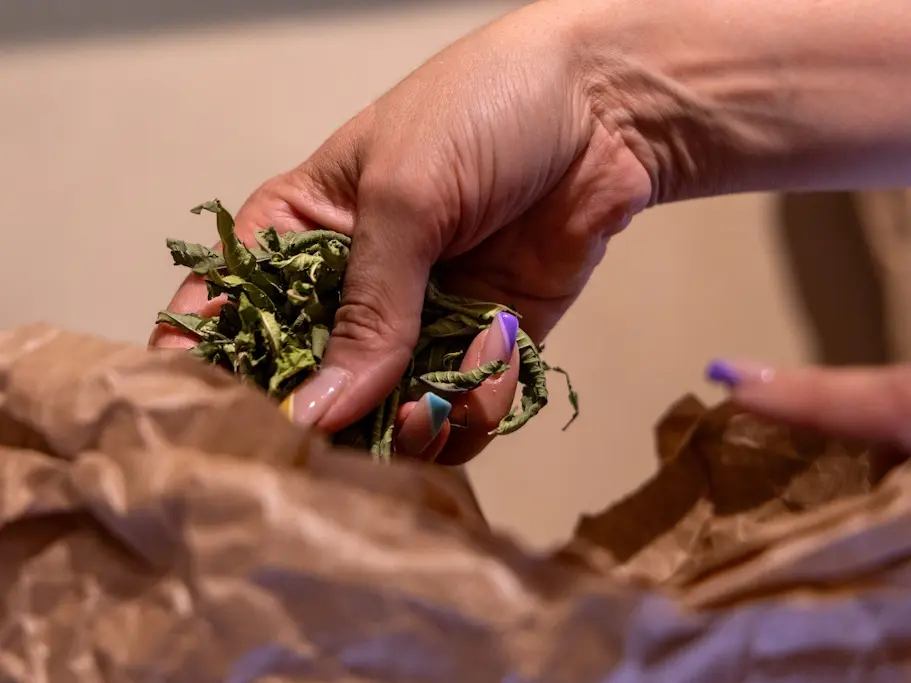 Foret jardin du petit Chavanat (11)