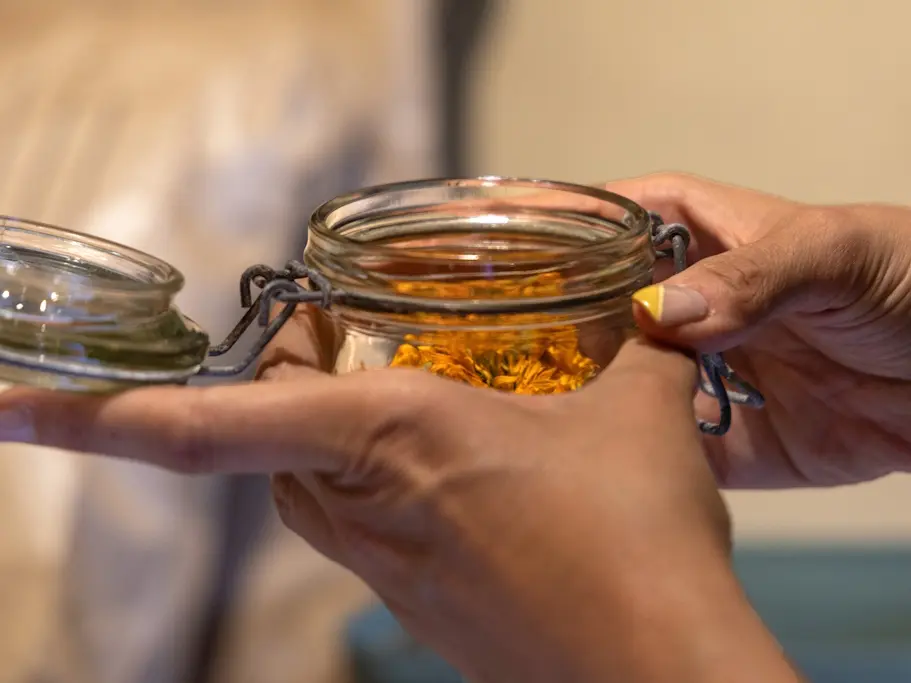 Foret jardin du petit Chavanat (6)