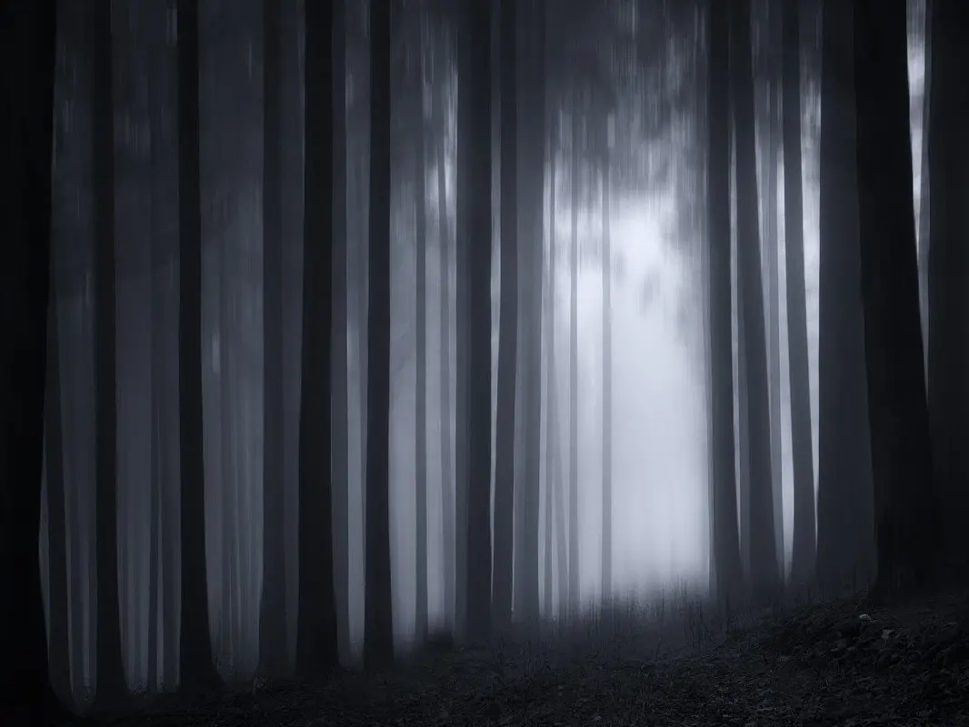 Gretel_Hanzel_Image_libre_de_droit_Wendy_Corniquet