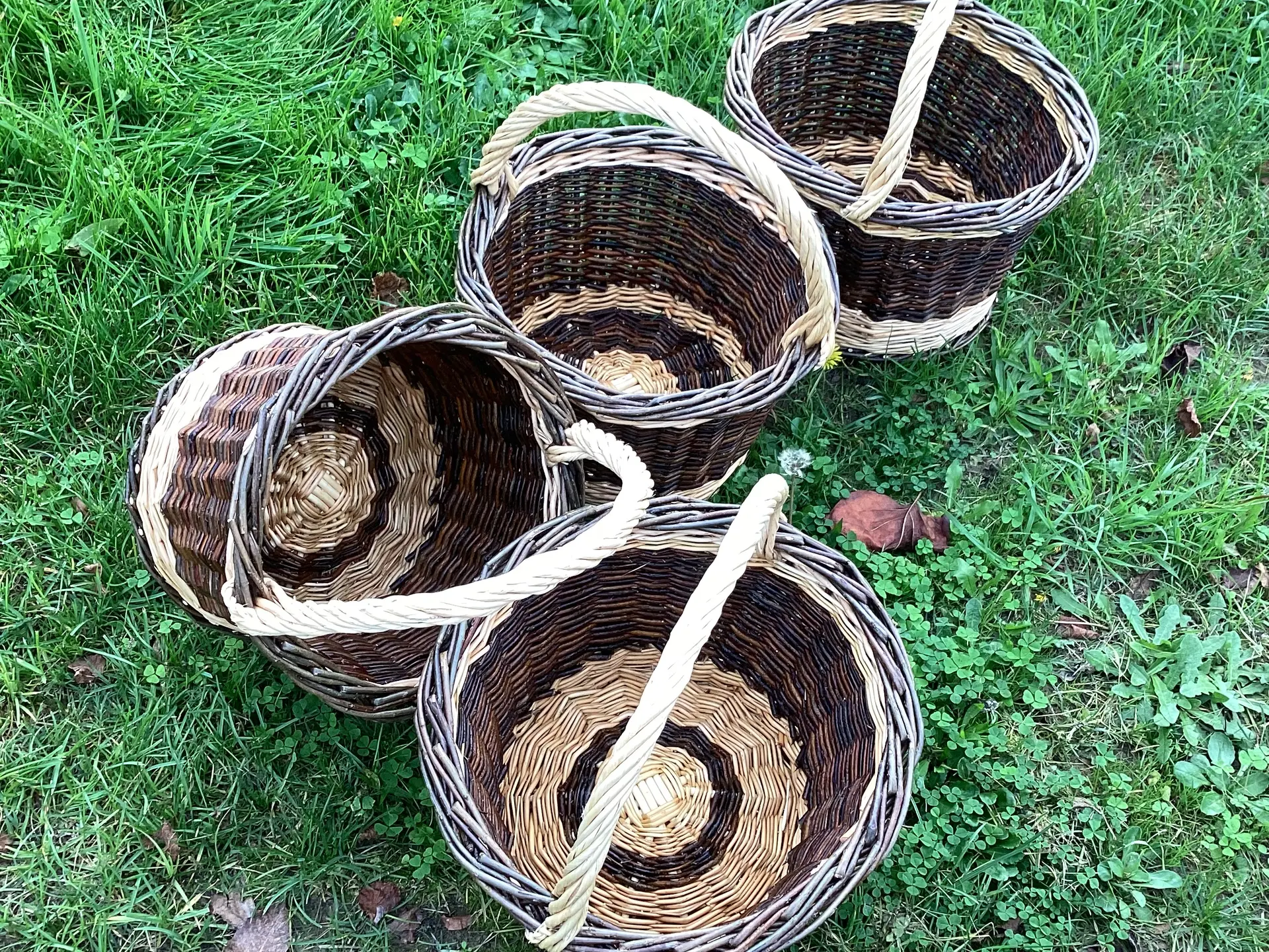 Paniers ronds - Vannerie - Atelier Calathea