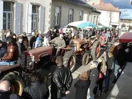 Image foire