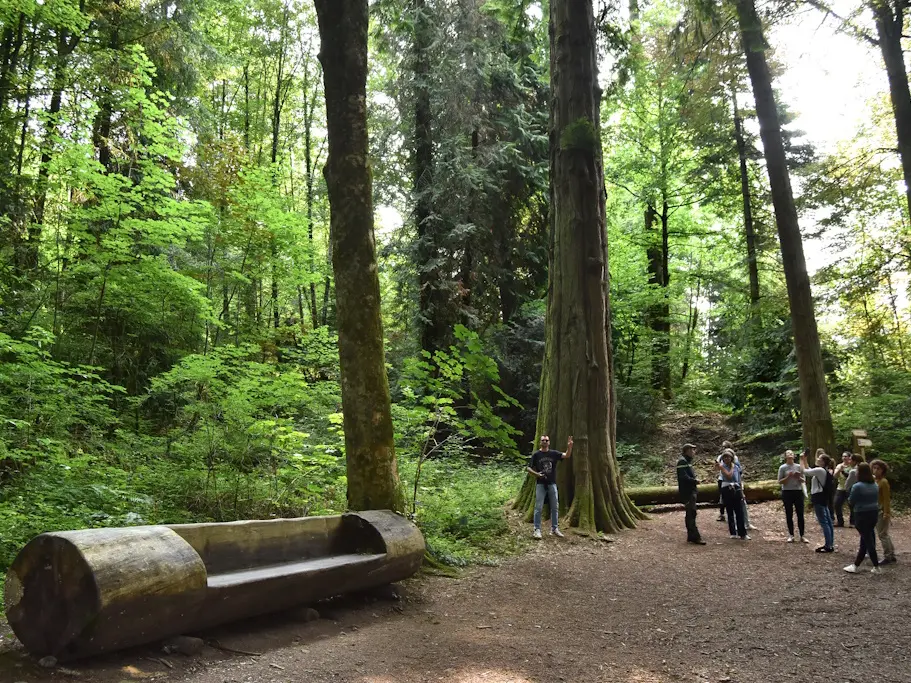 LA JONCHERE Arboretum