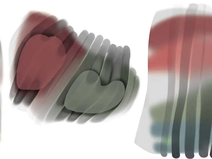 Laureline Galliot Image de travail pour l’installation «  Décors Linceulés »