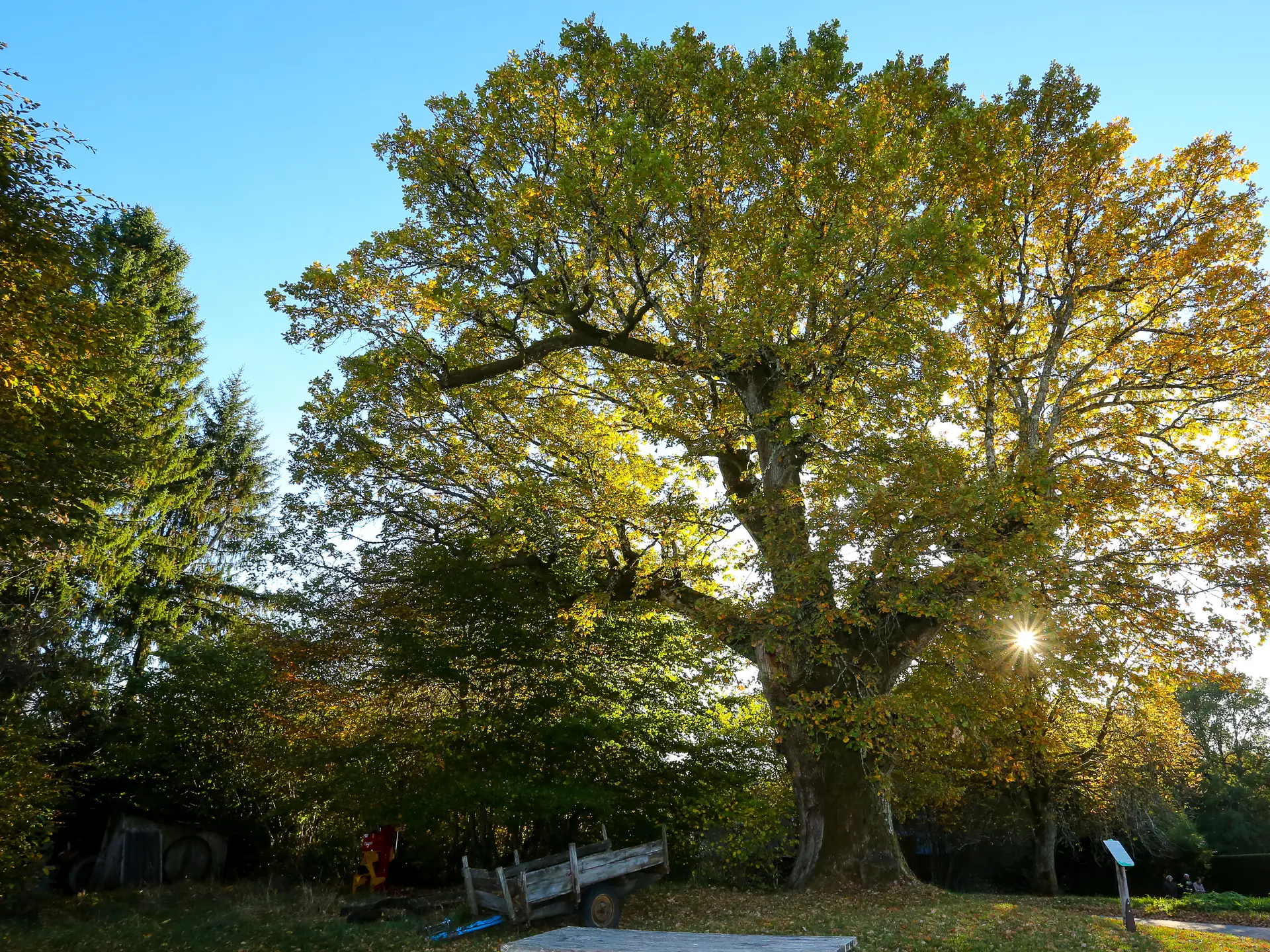 Le_jardin_nature-2016 (12)