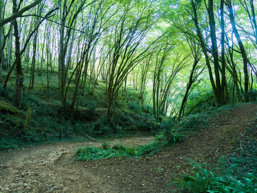 OT Vallée Vézère 2