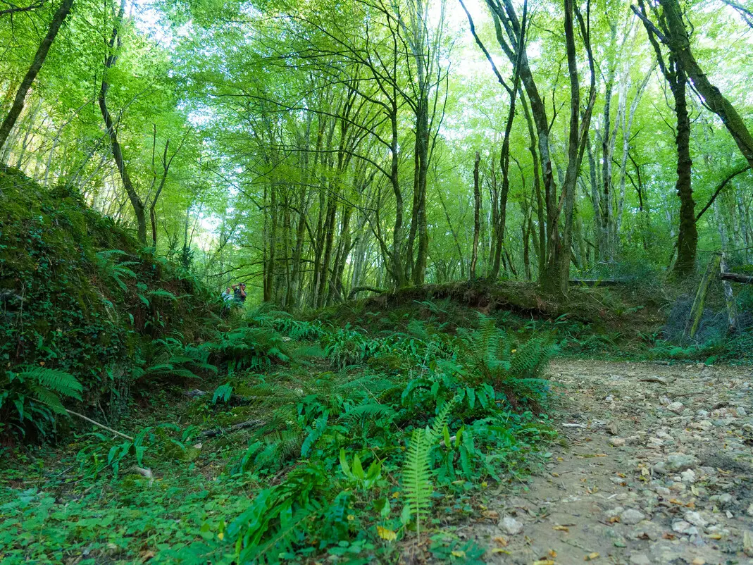 OT Vallée Vézère EyziesGorgedEnfer 9 2