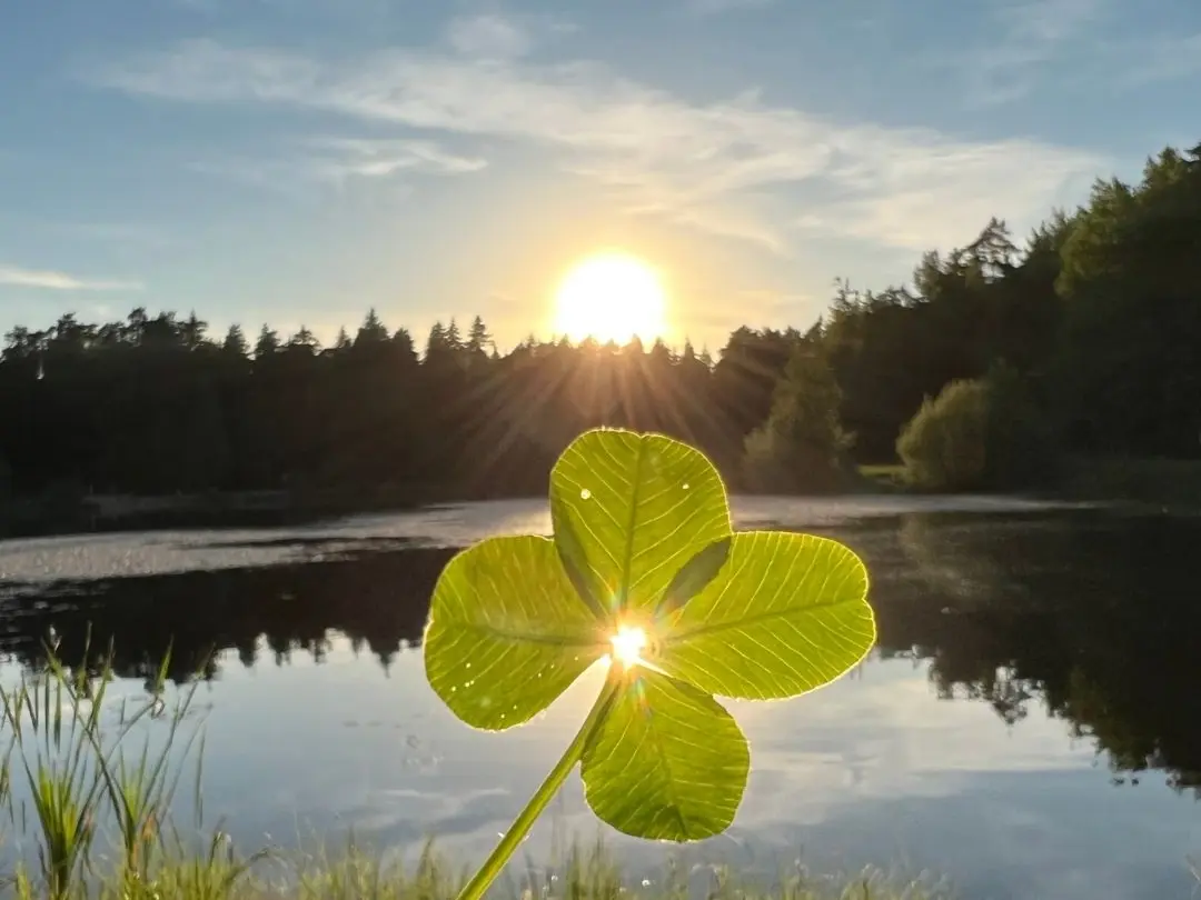Atelier décor sur porcelaine