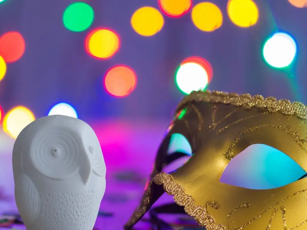 Tournette la chouette se déguise