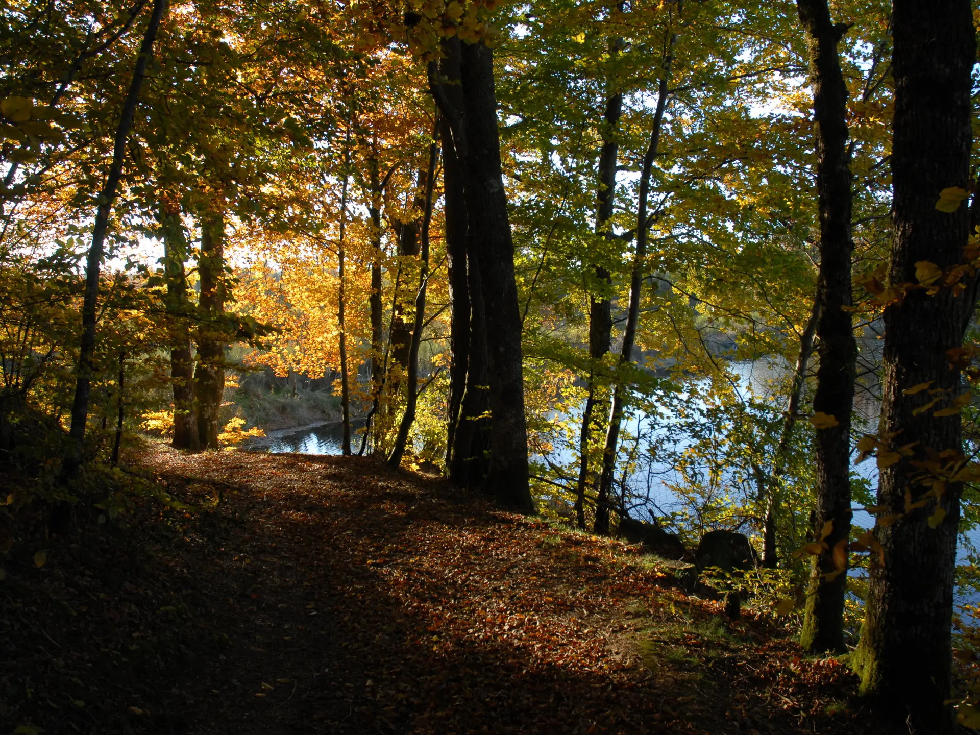 Paysage automne_JeanBoinet