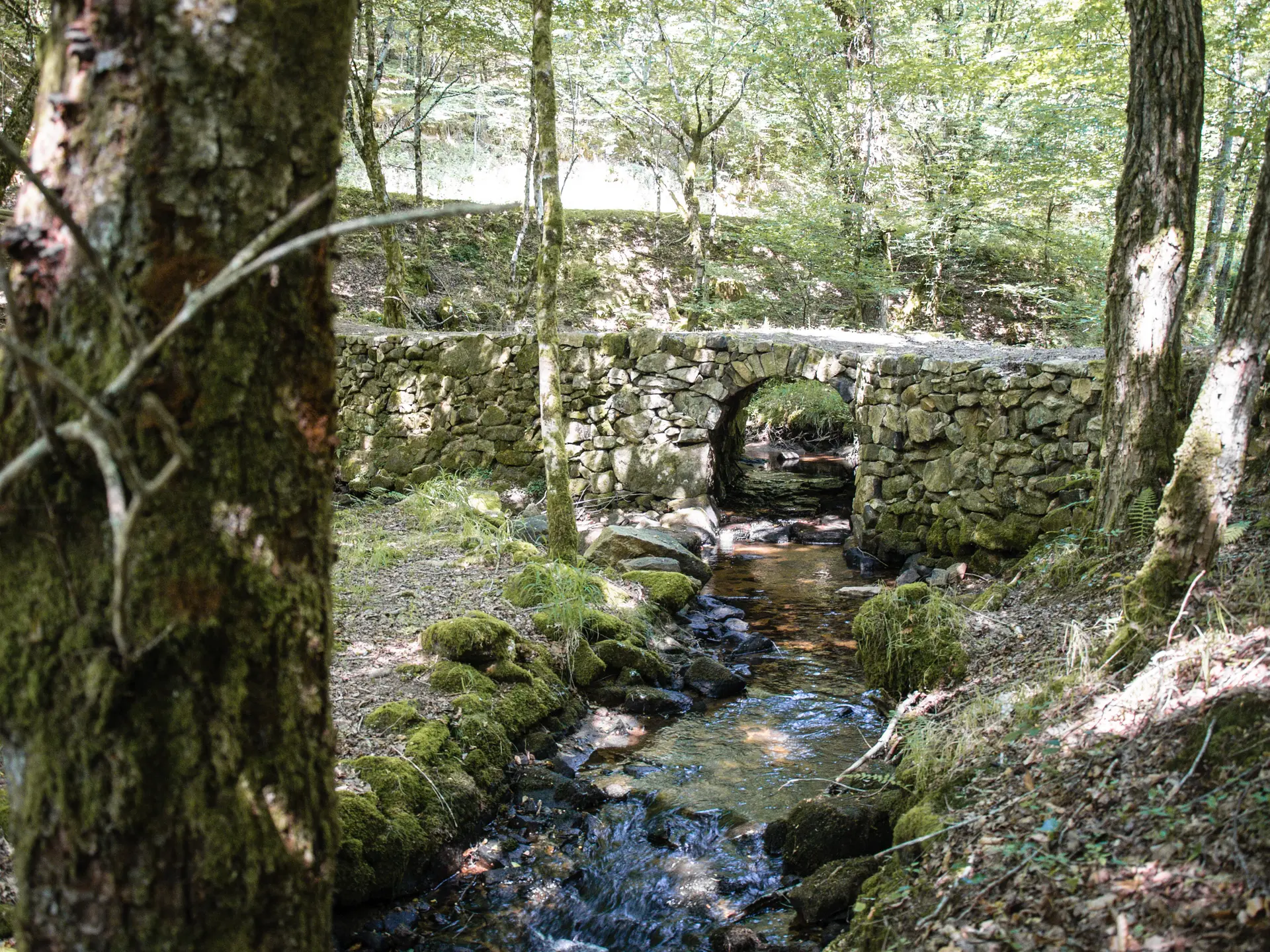 Pont Agarries (2)