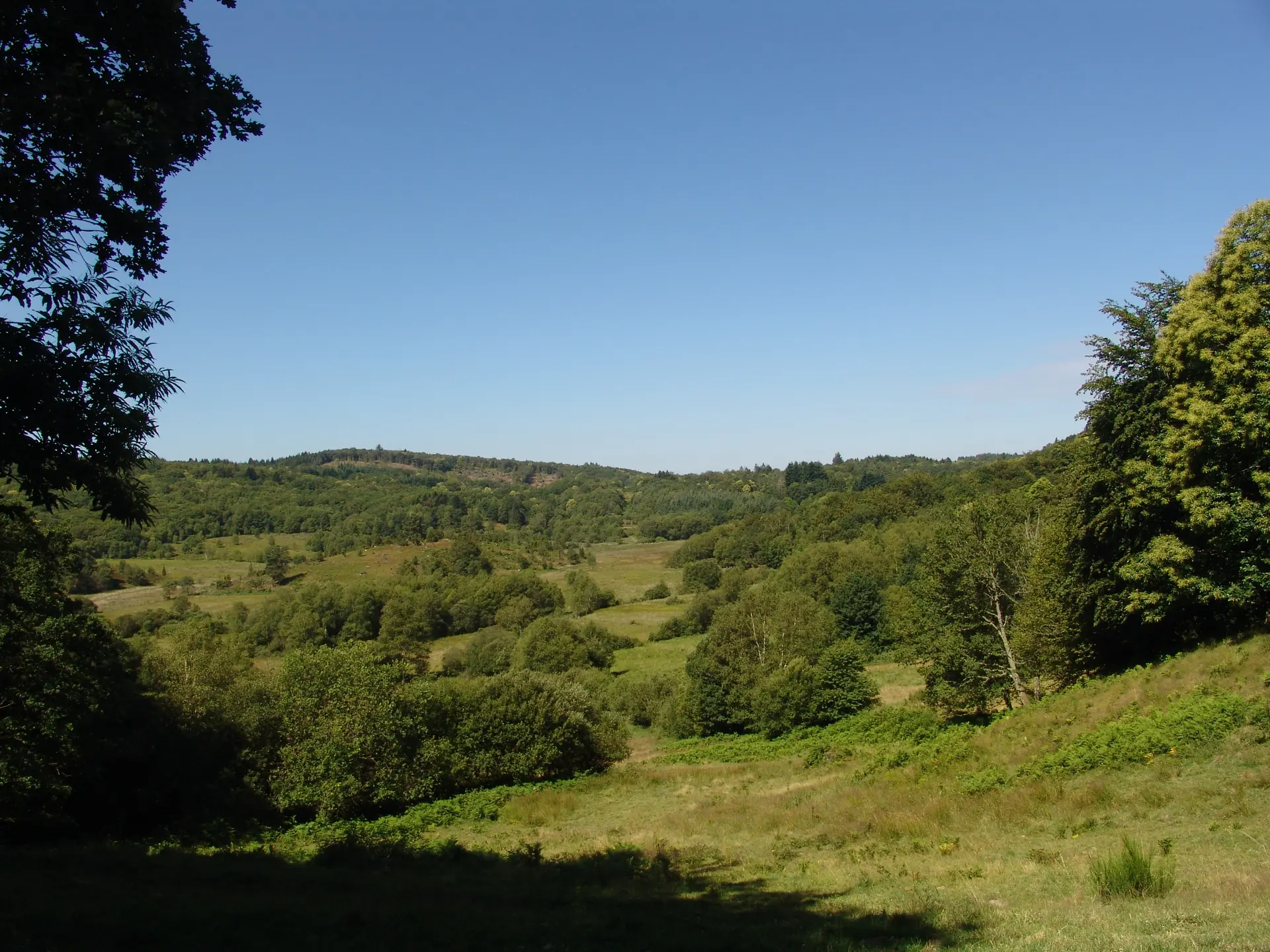 Découverte de la tourbière des Dauges