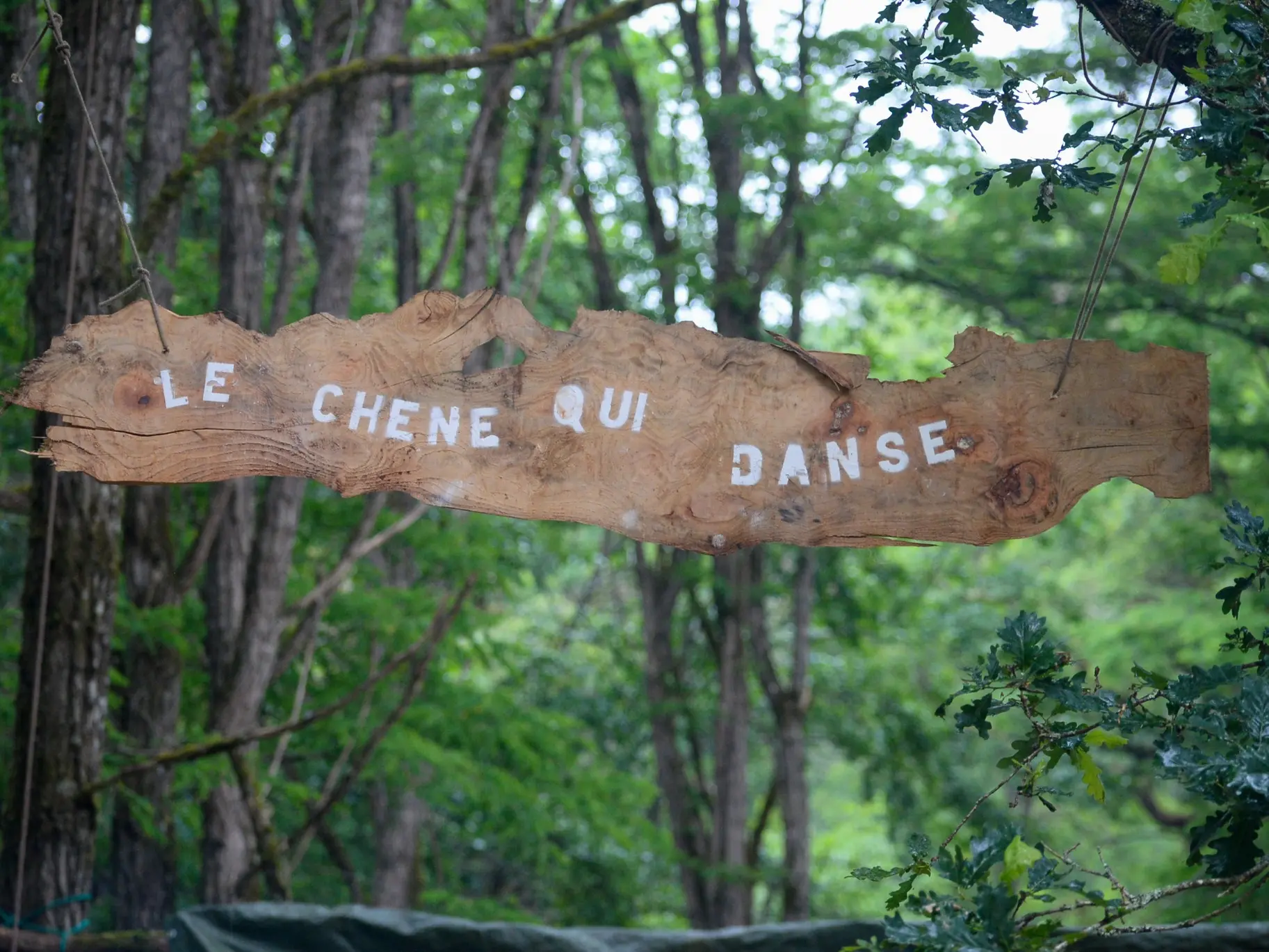 Sébastien Mahieuxe