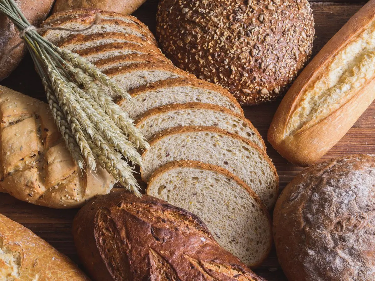 Boulangerie Pâtisserie Gallas - Châlus