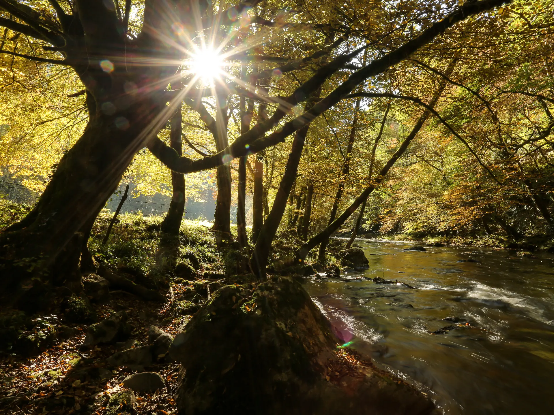 St_hilaire_foissac_nature-2016 (4)