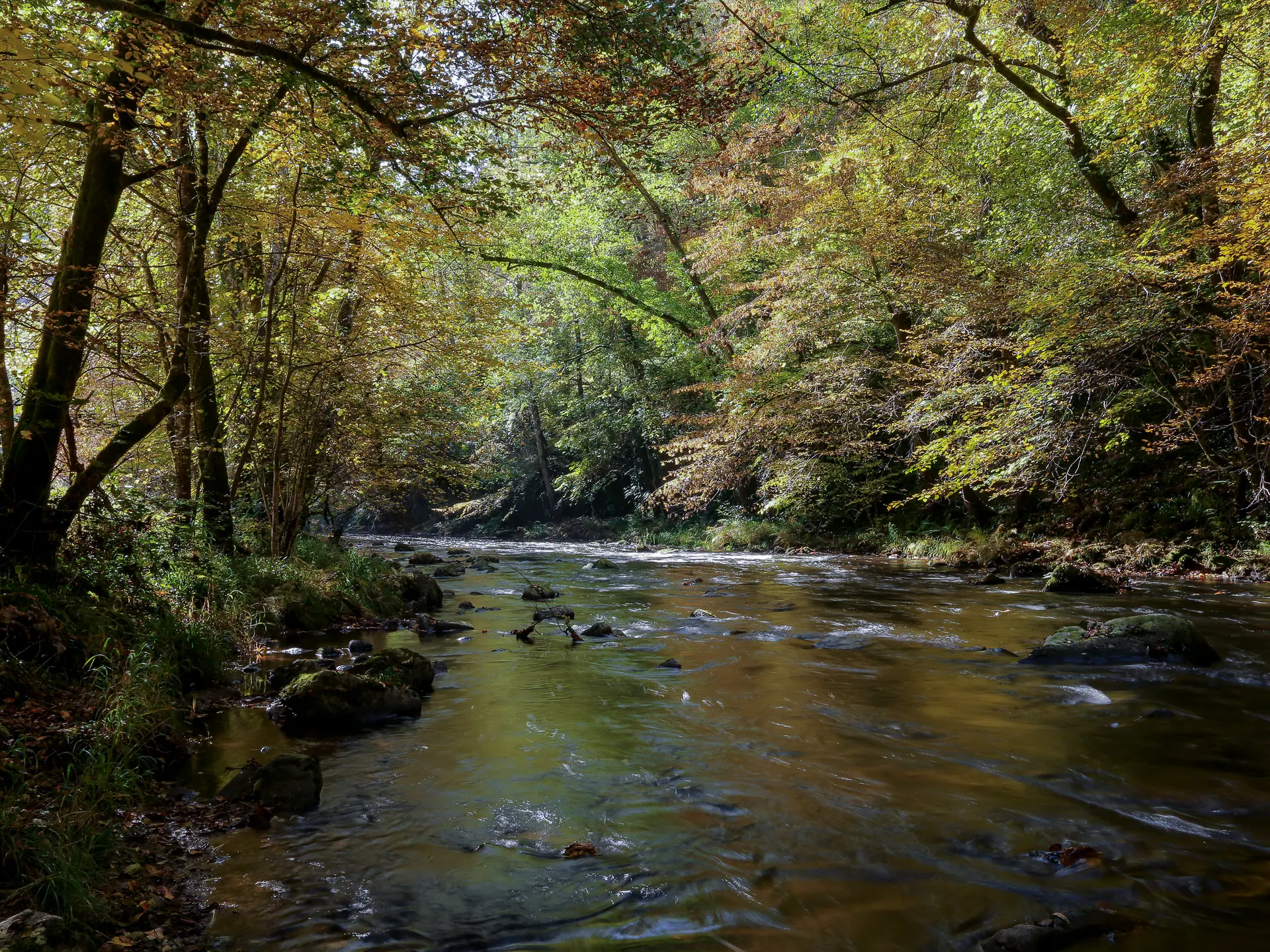 St_hilaire_foissac_nature-2016 (8)