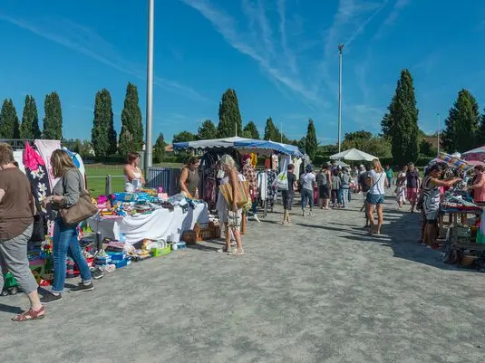 VDL_026481_BD