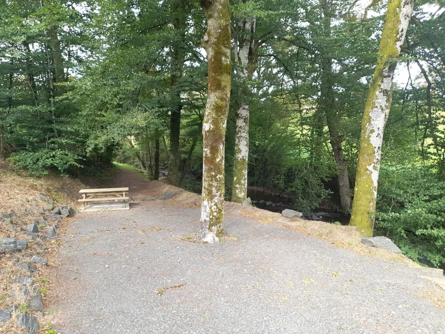 aire pique nique Soudaine lavinadière ©N Jumelle (1)