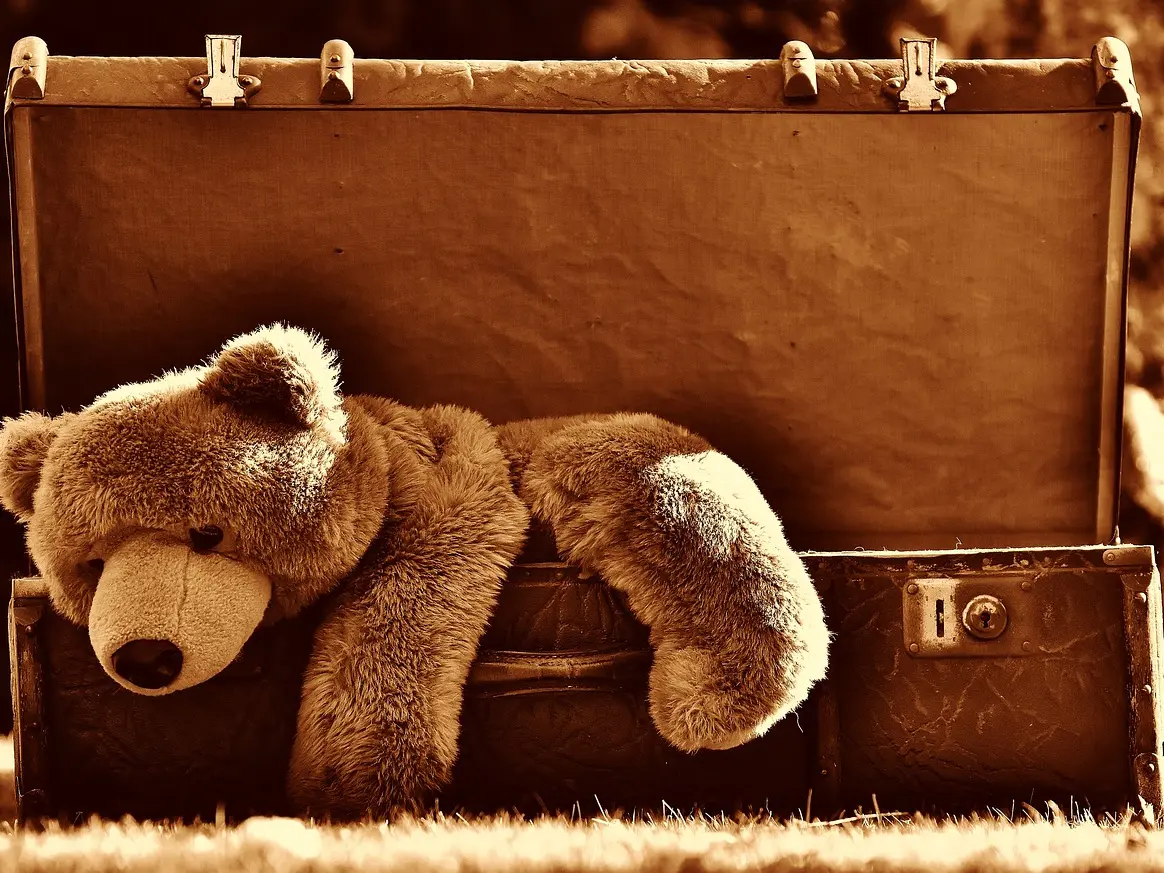 alexas_fotos-luggage