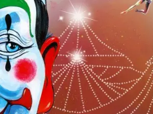 amar cirque de france