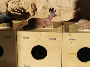 atelier maison de la nature animaux