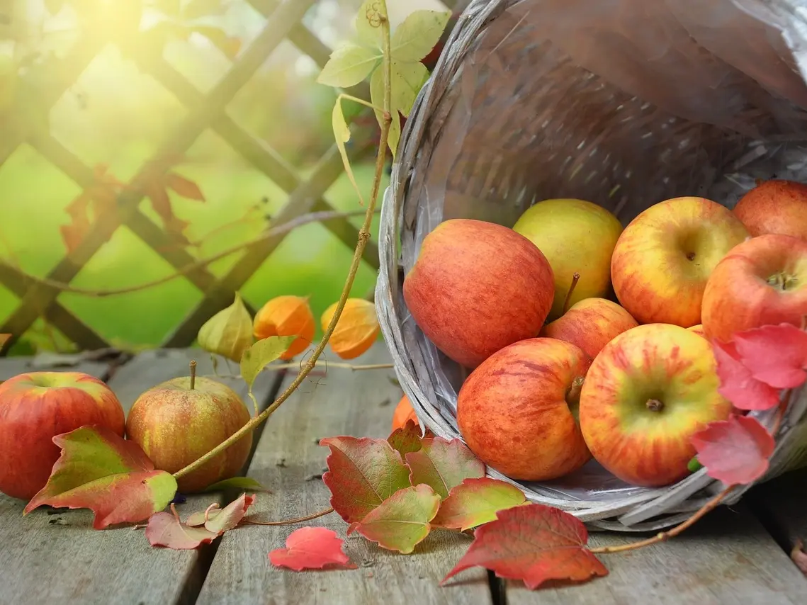 Fête de l'automne Le Chalard