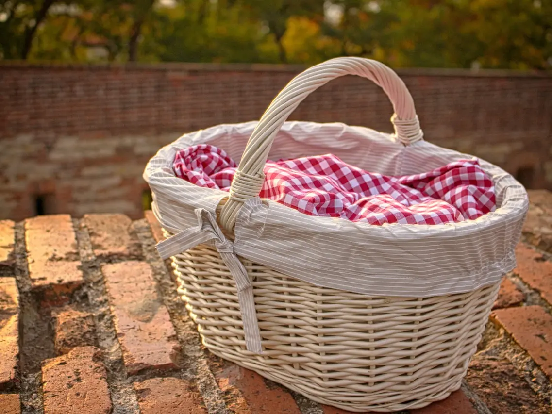 basket-2594872_1280
