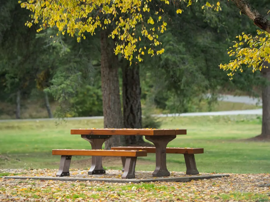 Table de pique nique