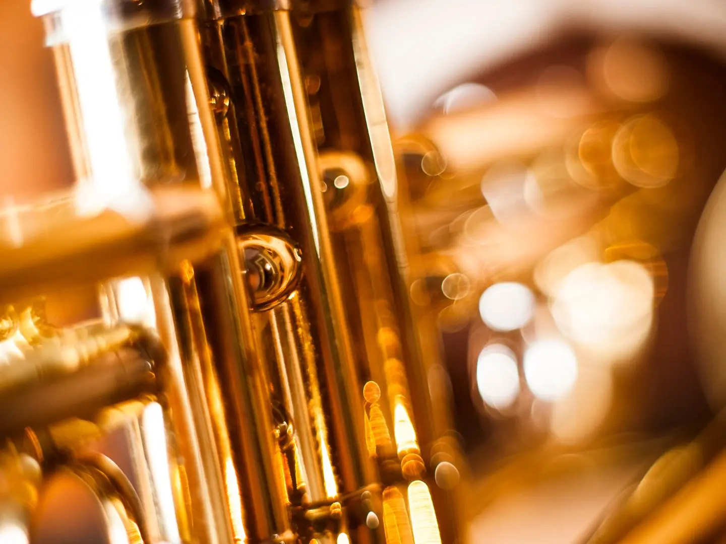 sirtaqui - concert jazz