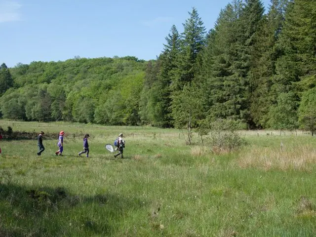 La tourbière des Dauges