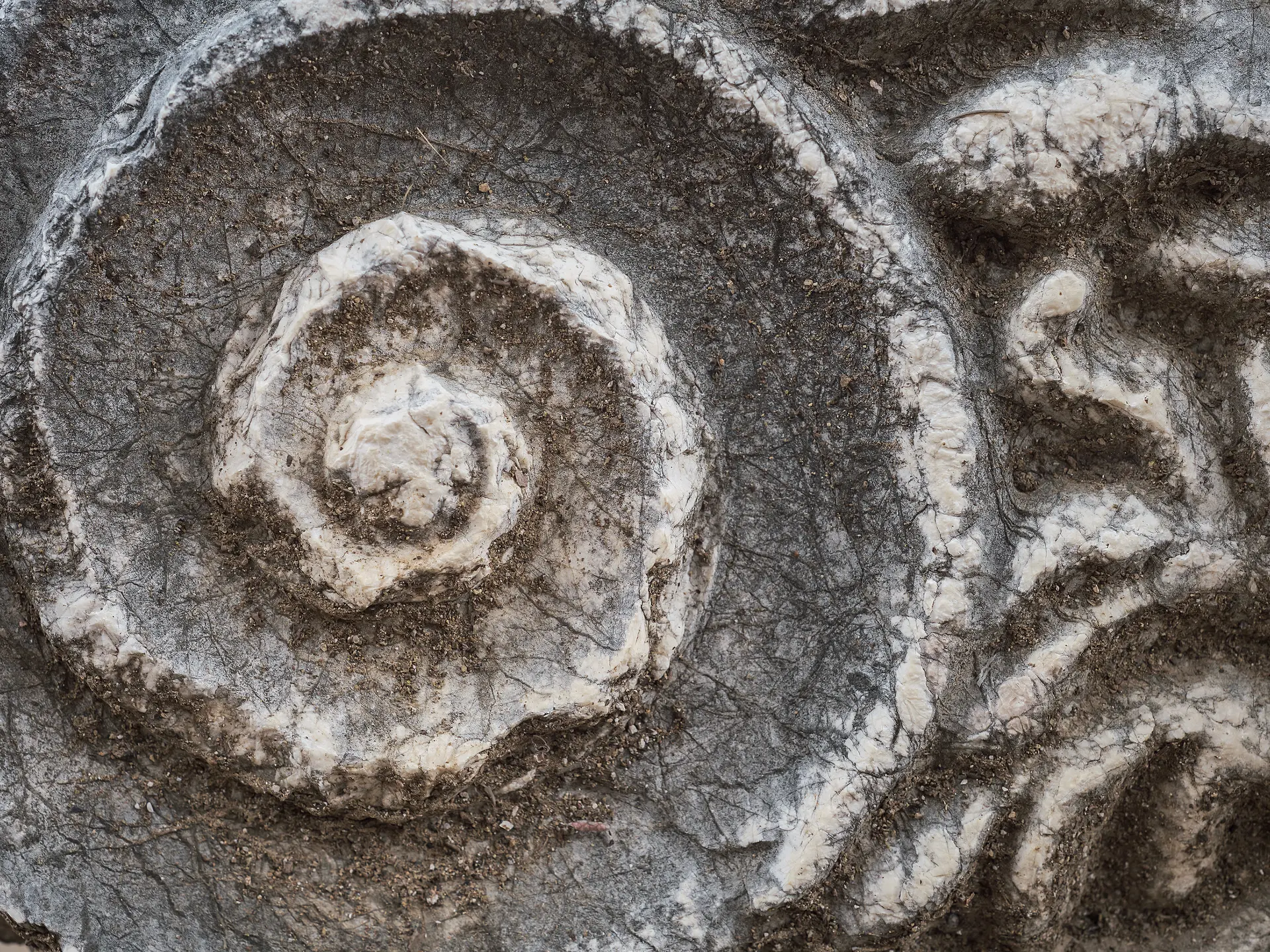details of the capital of the columns on the ruins of a Greek temple with a beautiful marble carving, the history and heritage of ancient civilizations in the Aegean region of Turkey, vacation travel