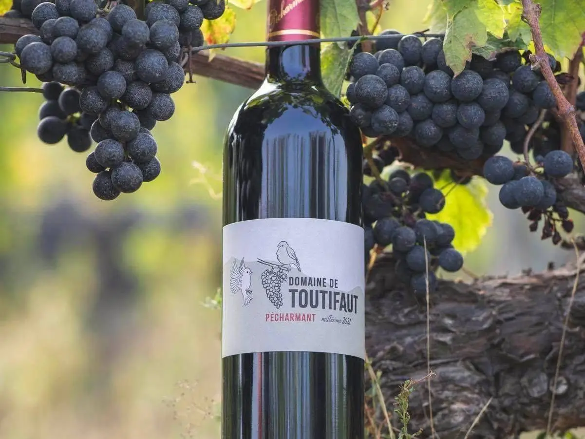 Domaine de Toutifaut à Creysse