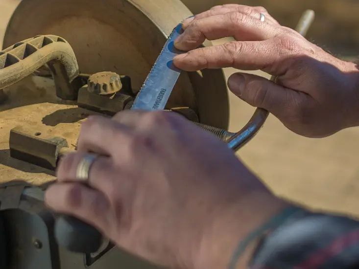 header_oc_gerardgoncalves