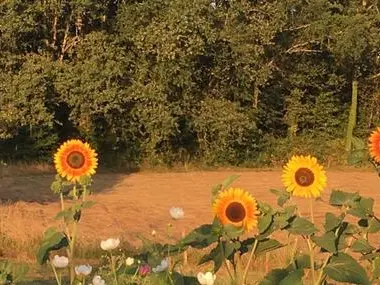 header_oc_lesjardinsdemamapousse(1)