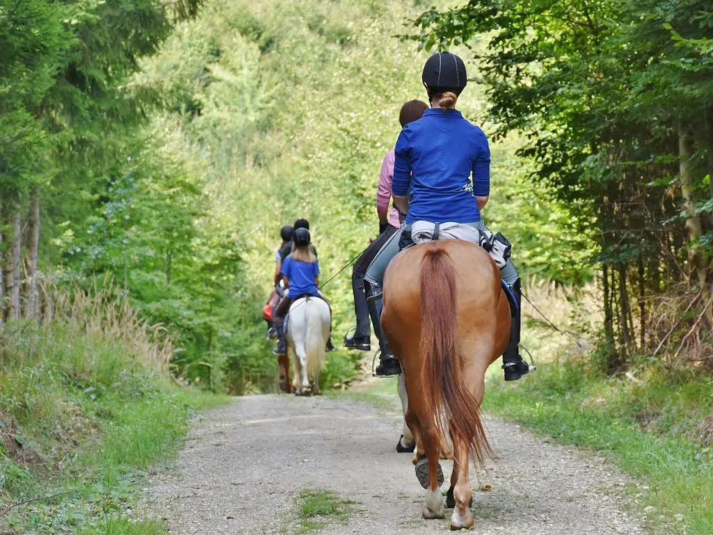 Balade à cheval