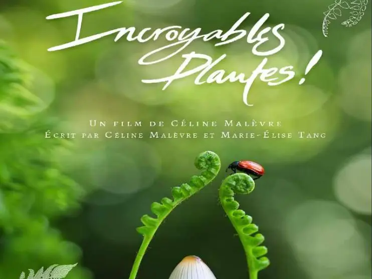 image plantes