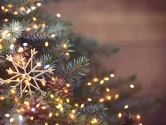 istockphoto-1187135139-612x612