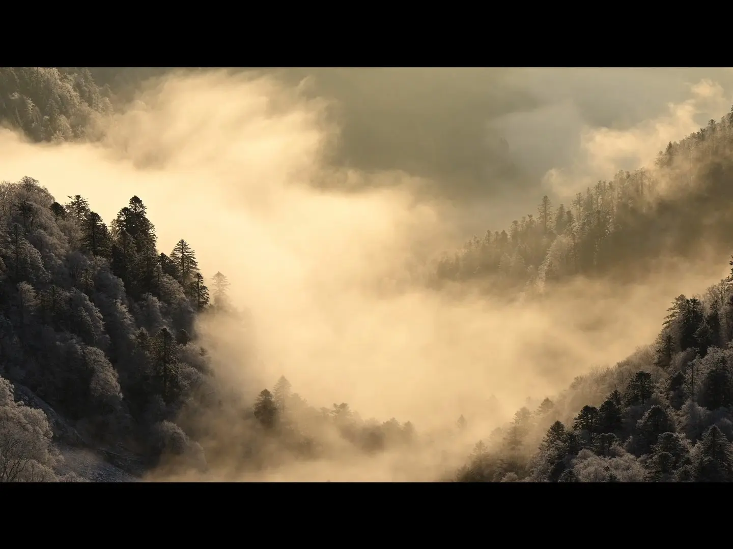 lcdf_promov06_241211.mp4_snapshot_02.31.200