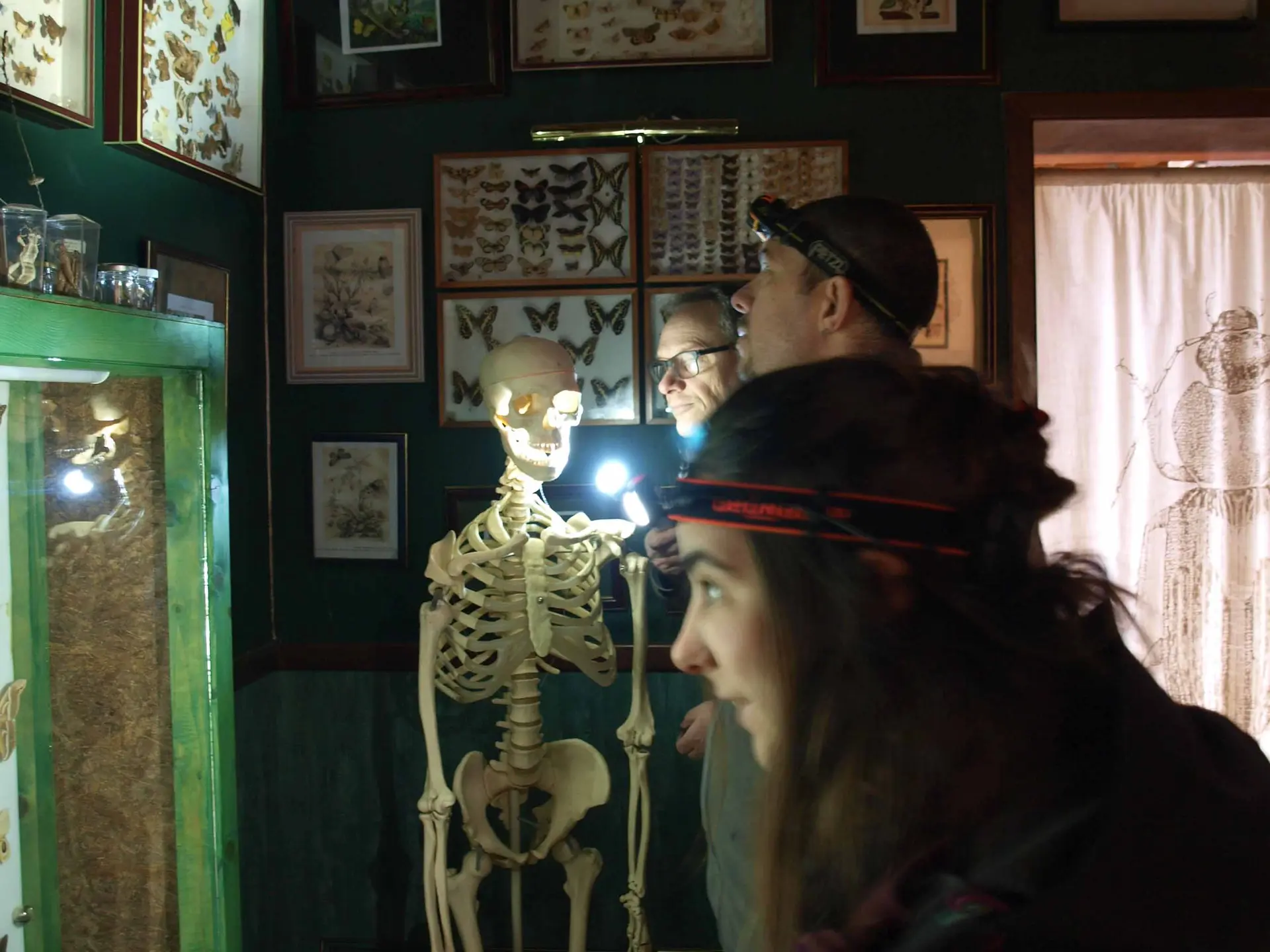 la nuit des musées cité cité des insectes3