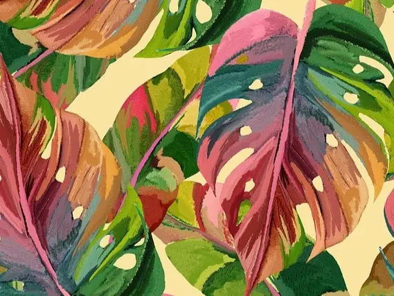 monstera-8477880_640