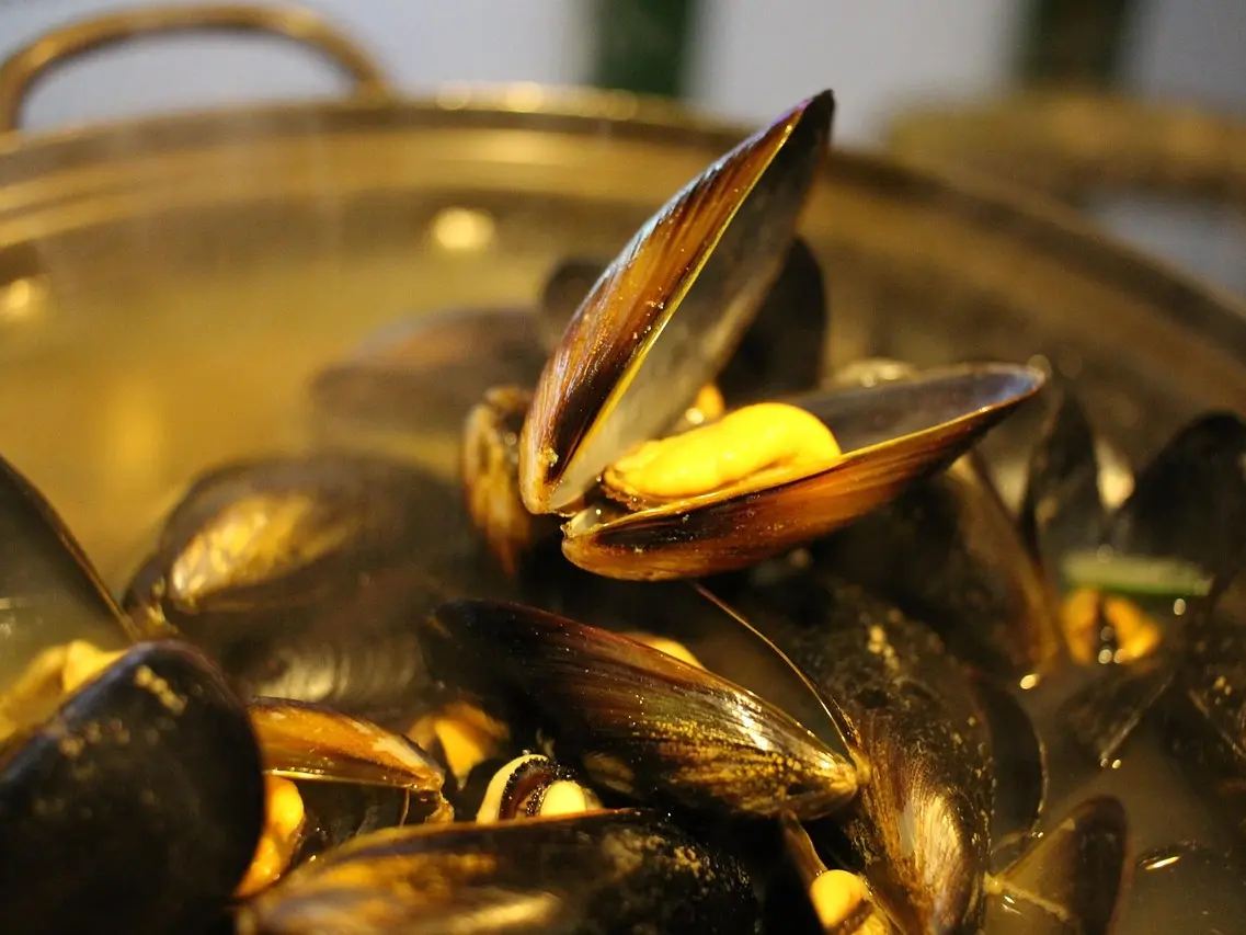 mussel-soup