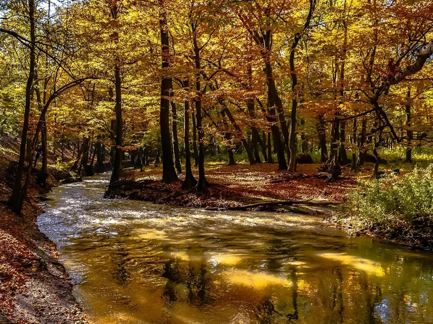 rivière