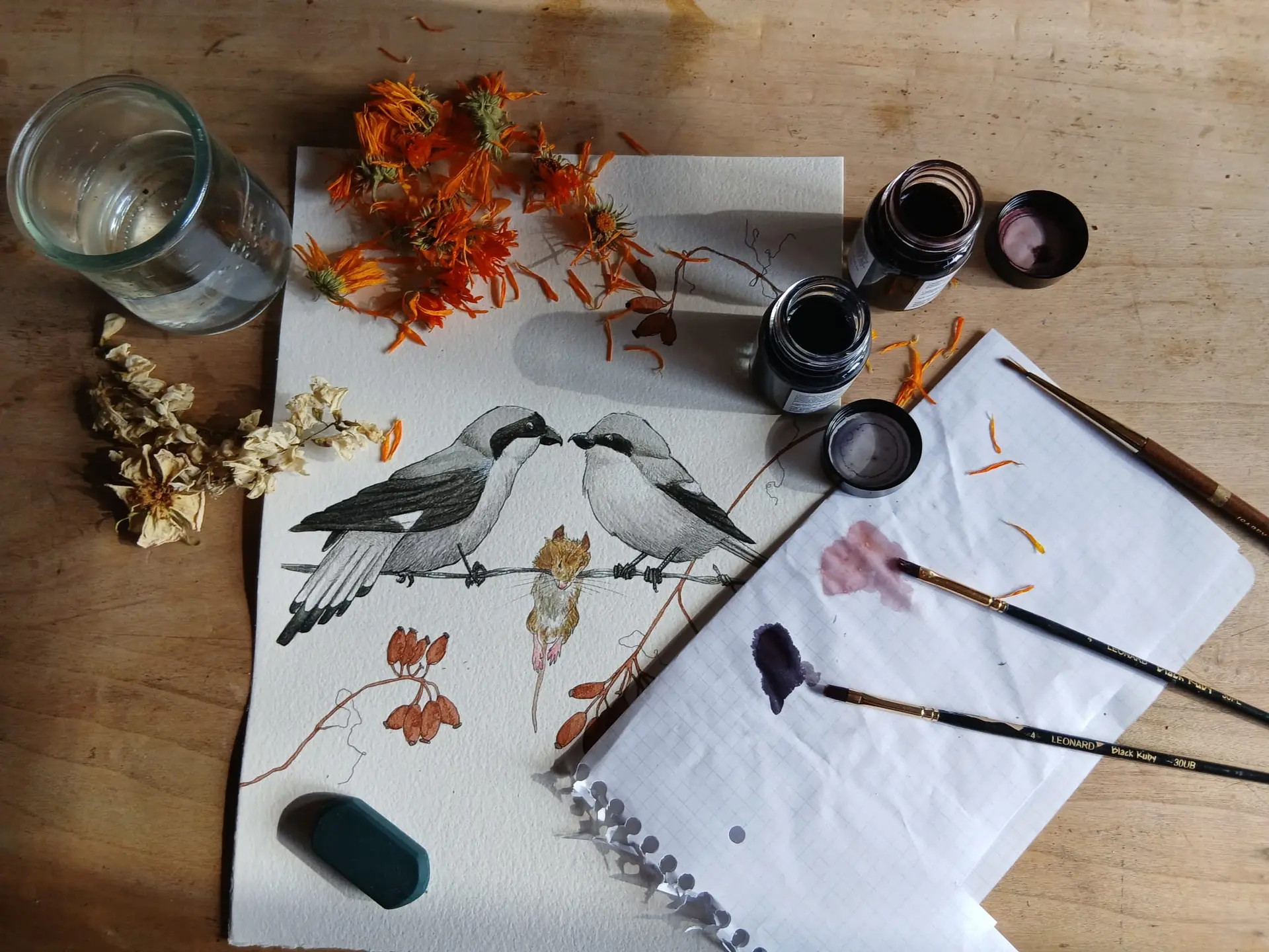 nature et création