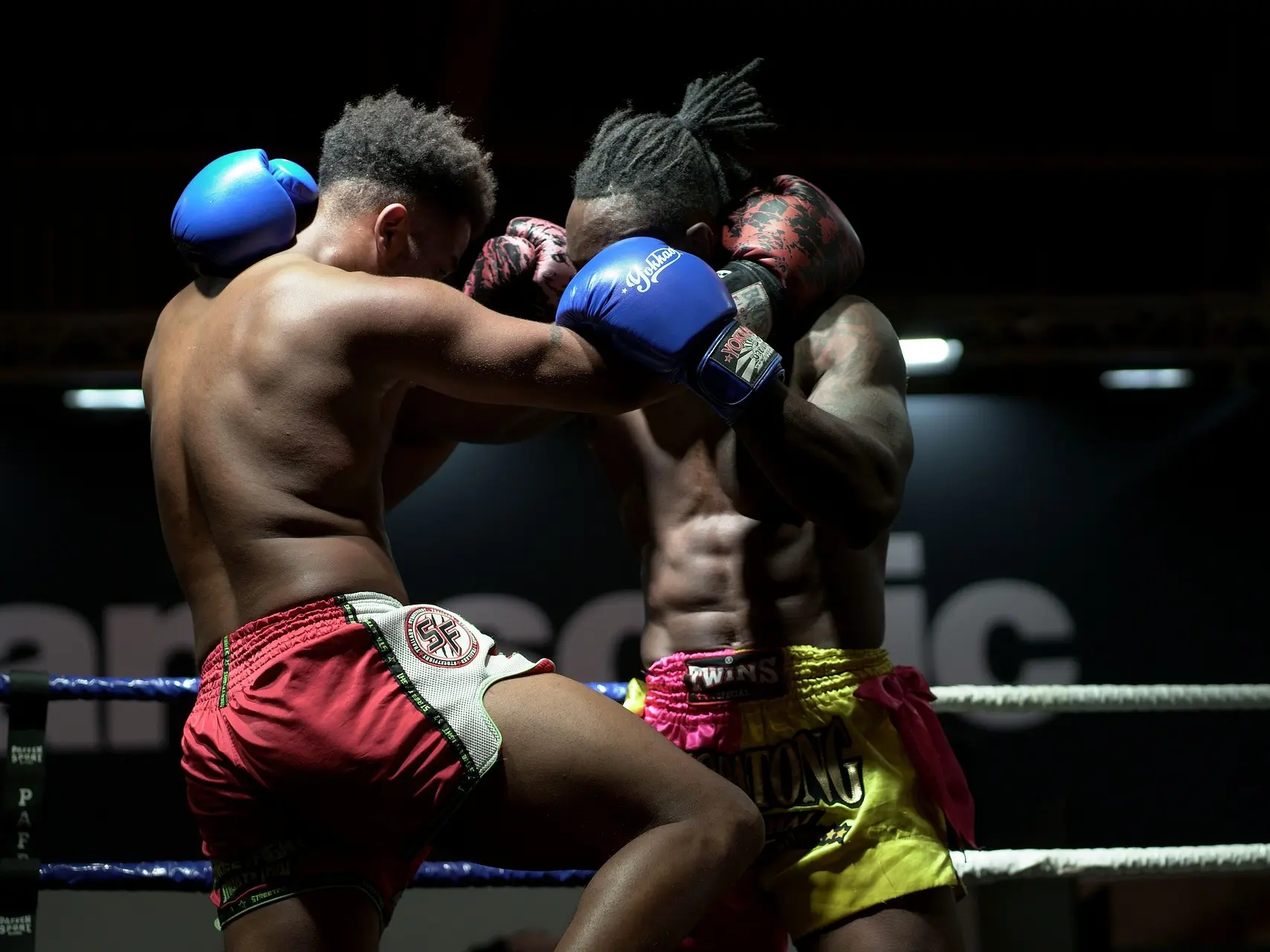 nbelokonskaya-boxing-6771971_1920