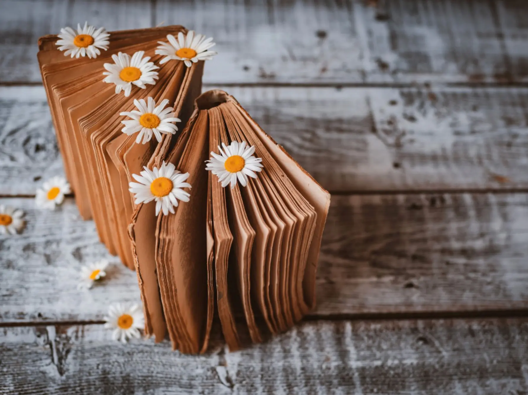 pageetplumeprintemps