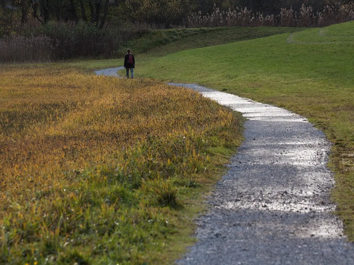 path-2